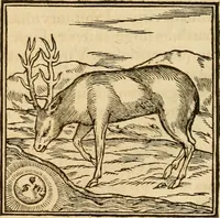 An illustration from Hieroglyphica, sive, De sacris Aegyptiorvm aliarvmqve gentivm literis commentarij (1575)