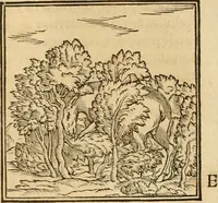 Picture 66 of 390 from Hieroglyphica, sive, De sacris Aegyptiorvm aliarvmqve gentivm literis commentarij (1575), leaf 117