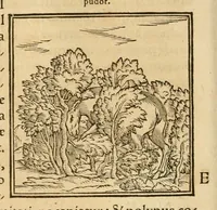 An illustration from Hieroglyphica, sive, De sacris Aegyptiorvm aliarvmqve gentivm literis commentarij (1575)
