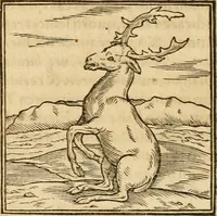 Picture 68 of 390 from Hieroglyphica, sive, De sacris Aegyptiorvm aliarvmqve gentivm literis commentarij (1575), leaf 119