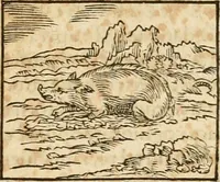 An illustration from Hieroglyphica, sive, De sacris Aegyptiorvm aliarvmqve gentivm literis commentarij (1575)