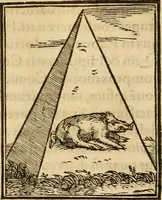 Picture 80 of 390 from Hieroglyphica, sive, De sacris Aegyptiorvm aliarvmqve gentivm literis commentarij (1575), leaf 141