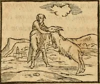 An illustration from Hieroglyphica, sive, De sacris Aegyptiorvm aliarvmqve gentivm literis commentarij (1575)