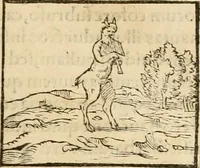 Picture 85 of 390 from Hieroglyphica, sive, De sacris Aegyptiorvm aliarvmqve gentivm literis commentarij (1575), leaf 152
