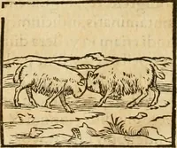 Picture 91 of 390 from Hieroglyphica, sive, De sacris Aegyptiorvm aliarvmqve gentivm literis commentarij (1575), leaf 163