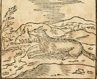 Picture 96 of 390 from Hieroglyphica, sive, De sacris Aegyptiorvm aliarvmqve gentivm literis commentarij (1575), leaf 168