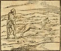 Picture 97 of 390 from Hieroglyphica, sive, De sacris Aegyptiorvm aliarvmqve gentivm literis commentarij (1575), leaf 169