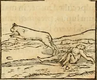 An illustration from Hieroglyphica, sive, De sacris Aegyptiorvm aliarvmqve gentivm literis commentarij (1575)