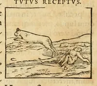 An illustration from Hieroglyphica, sive, De sacris Aegyptiorvm aliarvmqve gentivm literis commentarij (1575)