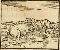 Picture 105 of 390 from Hieroglyphica, sive, De sacris Aegyptiorvm aliarvmqve gentivm literis commentarij (1575), leaf 178