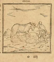 Picture 113 of 390 from Hieroglyphica, sive, De sacris Aegyptiorvm aliarvmqve gentivm literis commentarij (1575), leaf 185