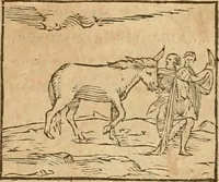 Picture 114 of 390 from Hieroglyphica, sive, De sacris Aegyptiorvm aliarvmqve gentivm literis commentarij (1575), leaf 186