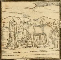 An illustration from Hieroglyphica, sive, De sacris Aegyptiorvm aliarvmqve gentivm literis commentarij (1575)