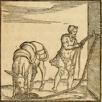 Picture 116 of 390 from Hieroglyphica, sive, De sacris Aegyptiorvm aliarvmqve gentivm literis commentarij (1575), leaf 188