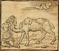 An illustration from Hieroglyphica, sive, De sacris Aegyptiorvm aliarvmqve gentivm literis commentarij (1575)