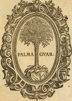 Picture 1 of 390 from Hieroglyphica, sive, De sacris Aegyptiorvm aliarvmqve gentivm literis commentarij (1575), leaf 2