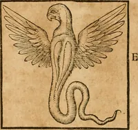 An illustration from Hieroglyphica, sive, De sacris Aegyptiorvm aliarvmqve gentivm literis commentarij (1575)
