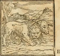 Picture 7 of 390 from Hieroglyphica, sive, De sacris Aegyptiorvm aliarvmqve gentivm literis commentarij (1575), leaf 23