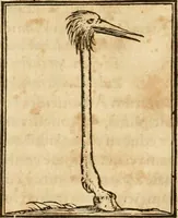 An illustration from Hieroglyphica, sive, De sacris Aegyptiorvm aliarvmqve gentivm literis commentarij (1575)