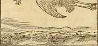 An illustration from Hieroglyphica, sive, De sacris Aegyptiorvm aliarvmqve gentivm literis commentarij (1575)