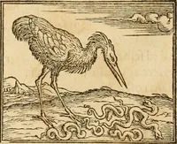 An illustration from Hieroglyphica, sive, De sacris Aegyptiorvm aliarvmqve gentivm literis commentarij (1575)