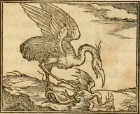 Picture 138 of 390 from Hieroglyphica, sive, De sacris Aegyptiorvm aliarvmqve gentivm literis commentarij (1575), leaf 263