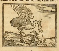 An illustration from Hieroglyphica, sive, De sacris Aegyptiorvm aliarvmqve gentivm literis commentarij (1575)