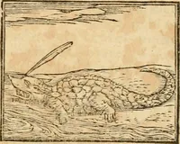 Picture 141 of 390 from Hieroglyphica, sive, De sacris Aegyptiorvm aliarvmqve gentivm literis commentarij (1575), leaf 264