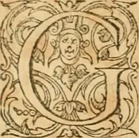 Picture 143 of 390 from Hieroglyphica, sive, De sacris Aegyptiorvm aliarvmqve gentivm literis commentarij (1575), leaf 265