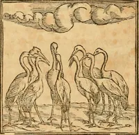 An illustration from Hieroglyphica, sive, De sacris Aegyptiorvm aliarvmqve gentivm literis commentarij (1575)