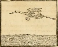 An illustration from Hieroglyphica, sive, De sacris Aegyptiorvm aliarvmqve gentivm literis commentarij (1575)