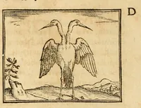An illustration from Hieroglyphica, sive, De sacris Aegyptiorvm aliarvmqve gentivm literis commentarij (1575)