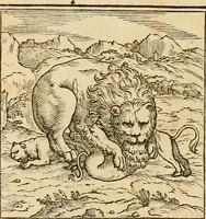 An illustration from Hieroglyphica, sive, De sacris Aegyptiorvm aliarvmqve gentivm literis commentarij (1575)