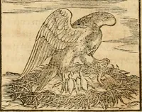 Picture 150 of 390 from Hieroglyphica, sive, De sacris Aegyptiorvm aliarvmqve gentivm literis commentarij (1575), leaf 273