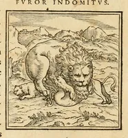 An illustration from Hieroglyphica, sive, De sacris Aegyptiorvm aliarvmqve gentivm literis commentarij (1575)