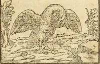 Picture 160 of 390 from Hieroglyphica, sive, De sacris Aegyptiorvm aliarvmqve gentivm literis commentarij (1575), leaf 296