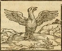 An illustration from Hieroglyphica, sive, De sacris Aegyptiorvm aliarvmqve gentivm literis commentarij (1575)