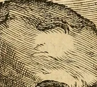An illustration from Hieroglyphica, sive, De sacris Aegyptiorvm aliarvmqve gentivm literis commentarij (1575)