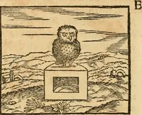 Picture 164 of 390 from Hieroglyphica, sive, De sacris Aegyptiorvm aliarvmqve gentivm literis commentarij (1575), leaf 301