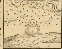 Picture 165 of 390 from Hieroglyphica, sive, De sacris Aegyptiorvm aliarvmqve gentivm literis commentarij (1575), leaf 304
