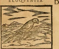 An illustration from Hieroglyphica, sive, De sacris Aegyptiorvm aliarvmqve gentivm literis commentarij (1575)