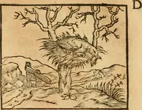 An illustration from Hieroglyphica, sive, De sacris Aegyptiorvm aliarvmqve gentivm literis commentarij (1575)