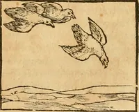 Picture 183 of 390 from Hieroglyphica, sive, De sacris Aegyptiorvm aliarvmqve gentivm literis commentarij (1575), leaf 345