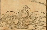 Picture 186 of 390 from Hieroglyphica, sive, De sacris Aegyptiorvm aliarvmqve gentivm literis commentarij (1575), leaf 347