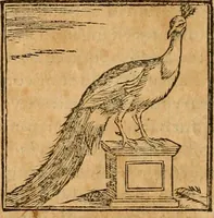 Picture 188 of 390 from Hieroglyphica, sive, De sacris Aegyptiorvm aliarvmqve gentivm literis commentarij (1575), leaf 349
