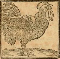 Picture 192 of 390 from Hieroglyphica, sive, De sacris Aegyptiorvm aliarvmqve gentivm literis commentarij (1575), leaf 354