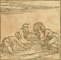 An illustration from Hieroglyphica, sive, De sacris Aegyptiorvm aliarvmqve gentivm literis commentarij (1575)