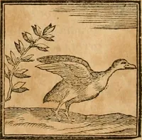 An illustration from Hieroglyphica, sive, De sacris Aegyptiorvm aliarvmqve gentivm literis commentarij (1575)