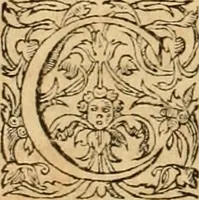 Picture 199 of 390 from Hieroglyphica, sive, De sacris Aegyptiorvm aliarvmqve gentivm literis commentarij (1575), leaf 363