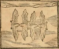 An illustration from Hieroglyphica, sive, De sacris Aegyptiorvm aliarvmqve gentivm literis commentarij (1575)